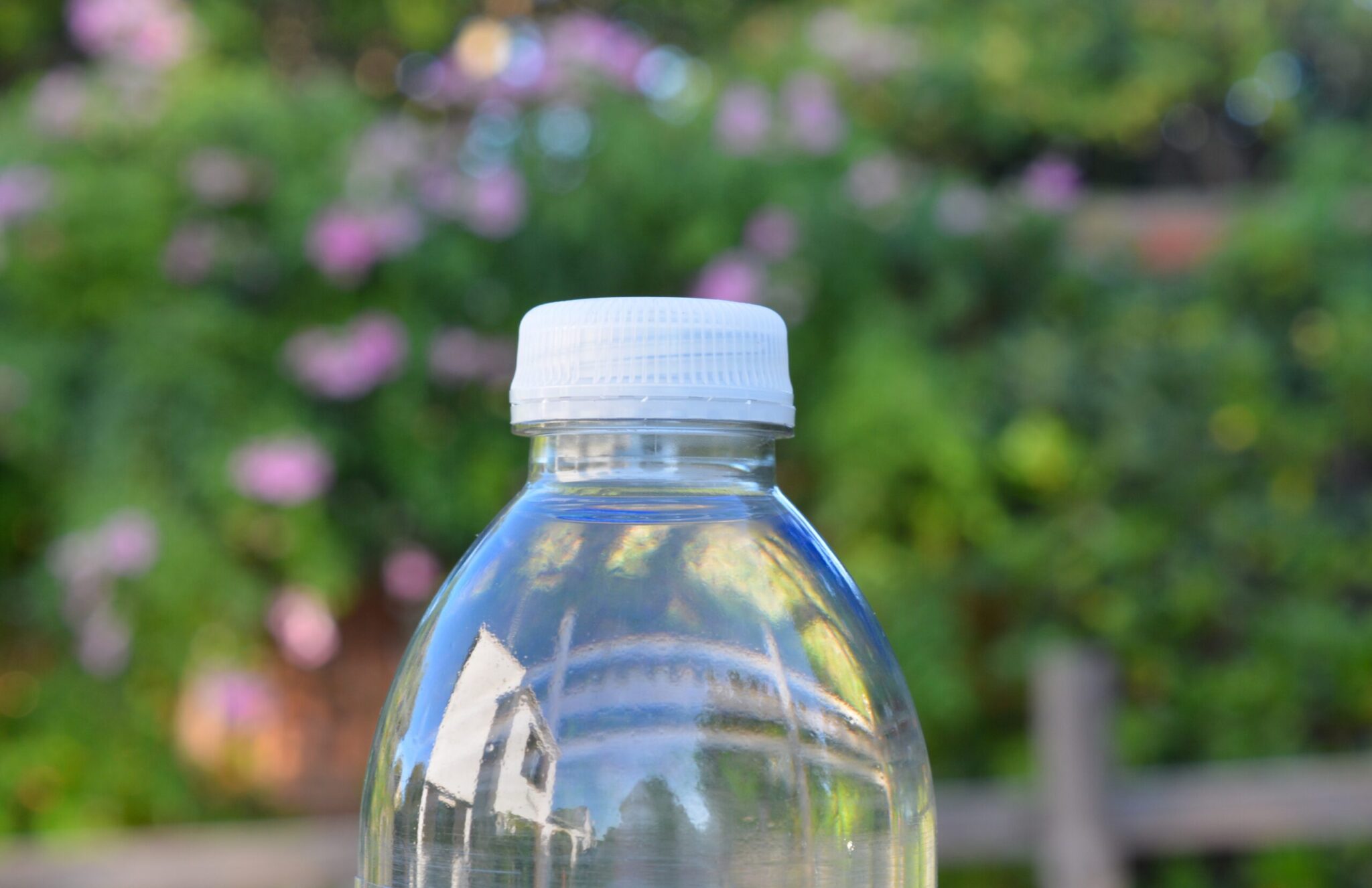Exploring the Versatility of Screw Top Containers CBNM